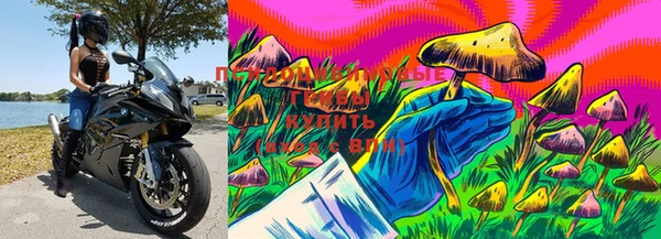 дурь Абдулино