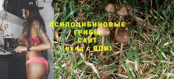 винт Абаза