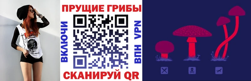 Псилоцибиновые грибы Psilocybe  гидра как войти  Сатка  купить  цена 