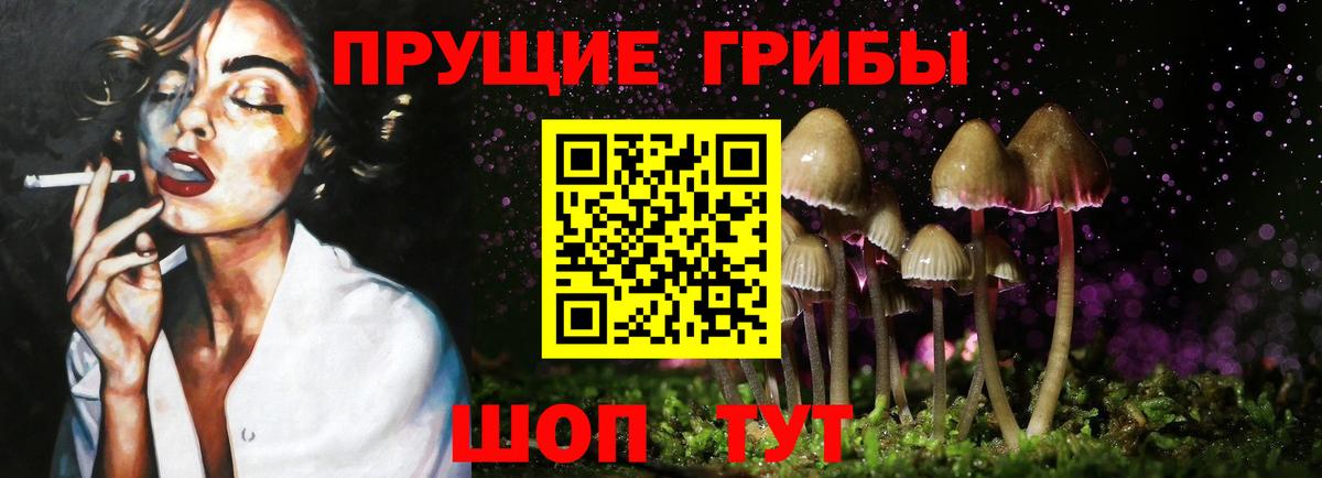 Сатка  Псилоцибиновые грибы Psilocybe  Вход с VPN  Галлюциногенные грибы ЛСД 