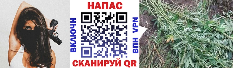 Канабис MAZAR  магазин    Сатка 